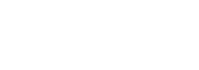 Adobe Solution Partner Bronze logo, officiële Adobe partner