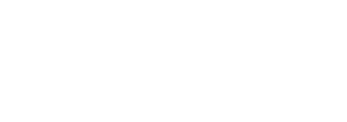 Adobe Solution Partner Bronze logo, officiële Adobe partner